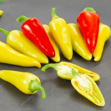 Dancing Spirits F1 Pepper Seeds - The Pepper Pantry (Formerly Marie Sharp's)